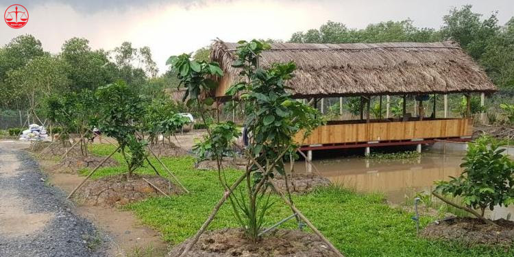 Hướng dẫn cách xem nguồn gốc sử dụng đất trên sổ đỏ