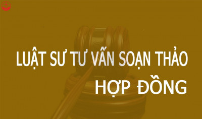 Dịch vụ tư vấn, soạn thảo Hợp đồng