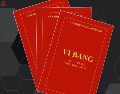 HÌNH ẢNH MINH HỌA TÁCH THỬA
