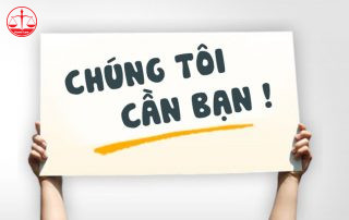 Tuyển dụng nhân sự Ngành luật