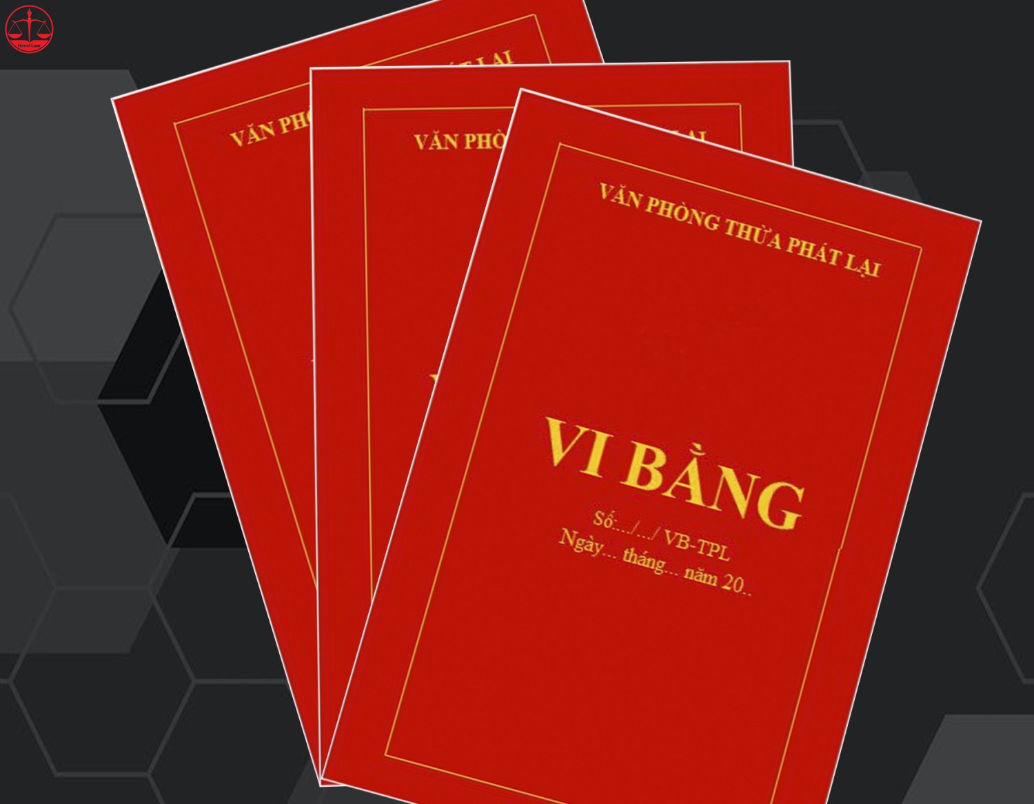 Hình ảnh minh họa vi bằng